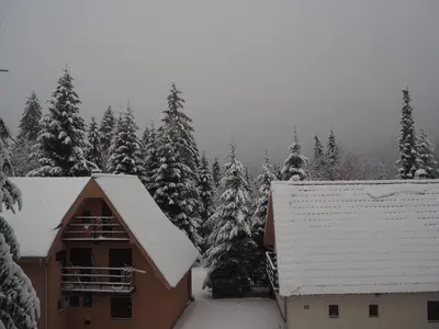 a house covered in snow in front of trees at Apartman Duda in Kopaonik