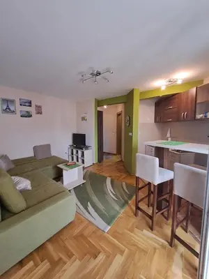 a living room with a couch and a kitchen at MAŠA Apartman Vrnjacka Banja in Vrnjačka Banja