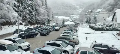 a bunch of cars parked on a street covered in snow at PAHULJA Vila Bela Reka Kopaonik Brzeće in Brzeće