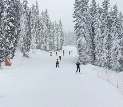 a group of people skiing down a snow covered slope at PAHULJA Vila Bela Reka Kopaonik Brzeće in Brzeće