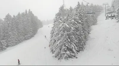 a group of snow covered trees on a ski lift at PAHULJA Vila Bela Reka Kopaonik Brzeće in Brzeće