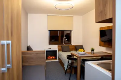 a room with a bed and a desk with a fireplace at Ramonda apartman Vila Bela Reka 50m from Gondola - free parking acces in Brzeće
