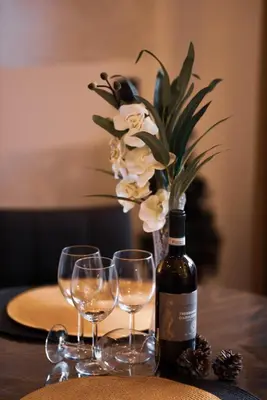 a table with a bottle of wine and two glasses at Tontic Lux Milmari in Kopaonik