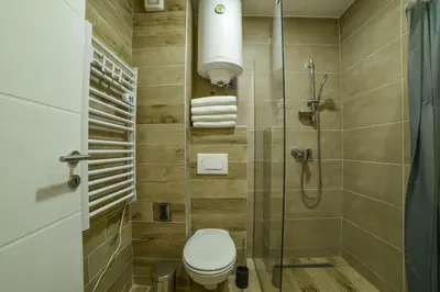 a bathroom with a toilet and a shower at Tontic Lux Milmari in Kopaonik