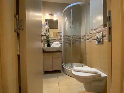 a bathroom with a shower and a toilet and a sink at Apartman Zvončica 29 in Kopaonik