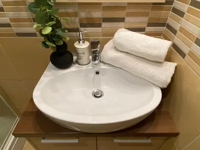 a white sink in a bathroom with a plant at Apartman Zvončica 29 in Kopaonik