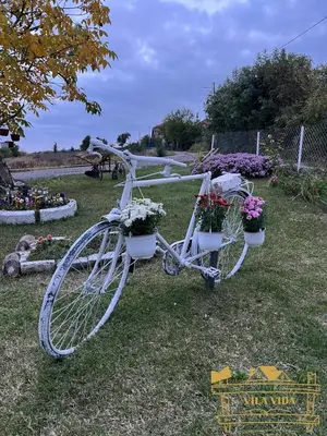 a bike with flower pots on it parked in the grass at Vila Vida in Kruševac