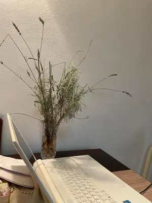 a vase with a plant and a laptop on a table at Apartman 019 in Zaječar