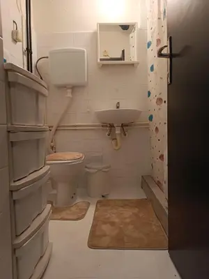 a bathroom with a toilet and a sink at Apartman 019 in Zaječar