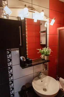 a bathroom with a sink and a red wall at Stan na dan Premium 030 in Bor
