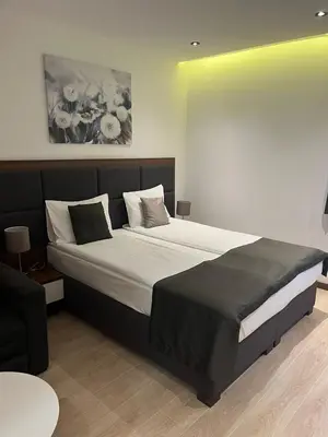 a bedroom with a large bed in a room at Apartman Staša Zoned II in Kopaonik