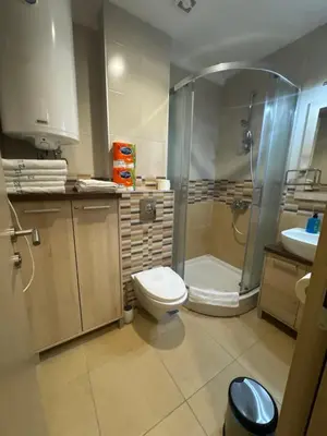 a bathroom with a shower and a toilet and a sink at Vila Zvončica Apartman Z12 in Kopaonik