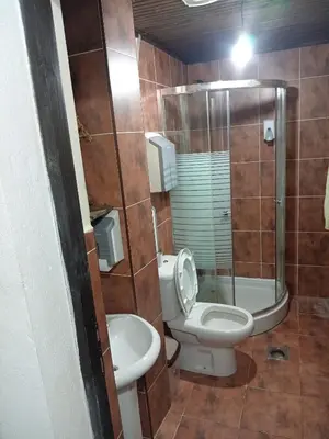 a small bathroom with a toilet and a shower at BUMBAR ETNO DVORAC in Tekija
