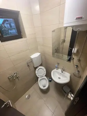 a small bathroom with a toilet and a sink at Konačište Zaplanjsko ognjište in Donji Dušnik