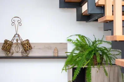 a wooden shelf on a wall with a plant at Konačište Zaplanjsko ognjište in Donji Dušnik