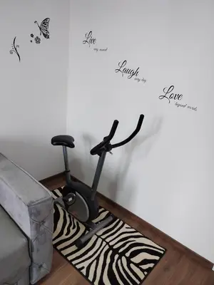 a room with a exercise bike on a zebra rug at APARTMAN ANDREA in Leskovac