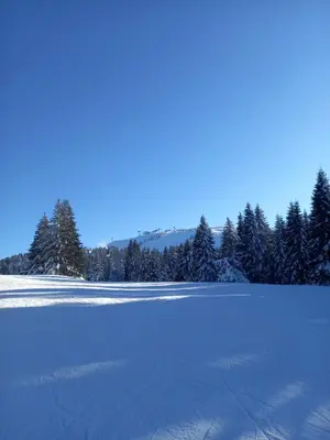 a field covered in snow with trees in the background at Apartman MK Kopaonik in Kopaonik