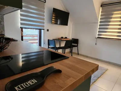 a kitchen with a black appliance on top of a counter at Detelina in Kopaonik