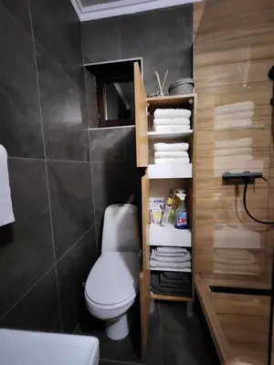 a bathroom with a toilet and some towels at Detelina in Kopaonik
