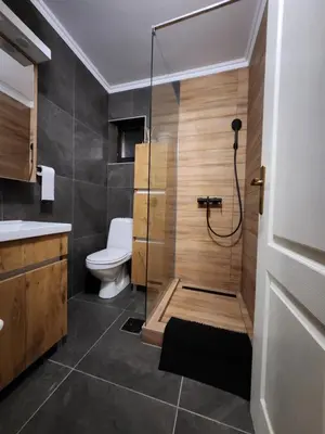a bathroom with a shower and a toilet at Detelina in Kopaonik