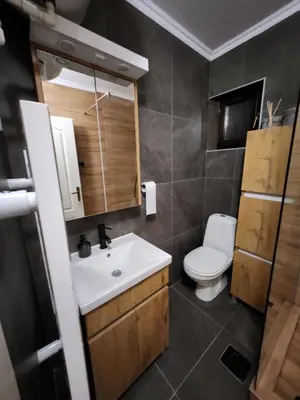 a bathroom with a white sink and a toilet at Detelina in Kopaonik