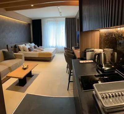 a kitchen and living room with a bed and a living room at Woodside Kopaonik - Malo jezero, FREE Parking & SPA in Kopaonik