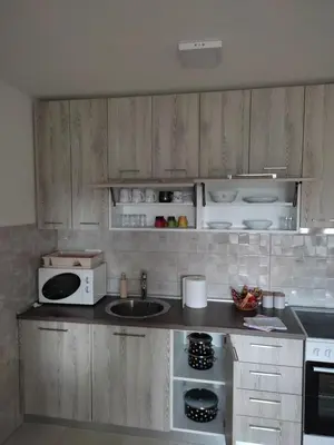 a kitchen with a sink and a microwave at Apartman Petra in Niš