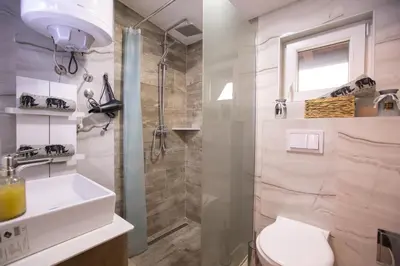 a bathroom with a shower and a toilet and a sink at Velickovic Alibi in Kopaonik