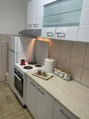 a kitchen with a stove and a counter top at Konstantin Sokobanja in Soko Banja