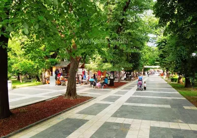 a walkway in a park with people and trees at Konstantin Sokobanja in Soko Banja