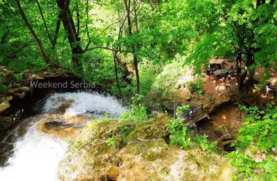 a waterfall in the middle of a forest at Konstantin Sokobanja in Soko Banja