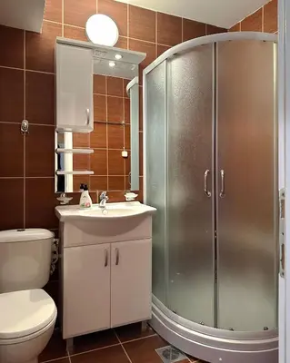 a bathroom with a shower and a sink and a toilet at Brzeće - Bele staze Nikola in Brzeće