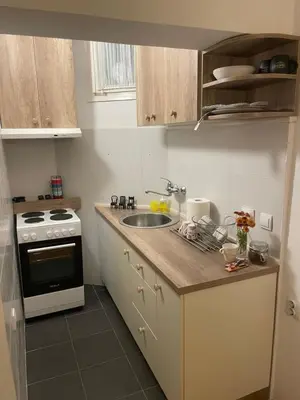 a small kitchen with a sink and a stove at Dora apartment in Niš