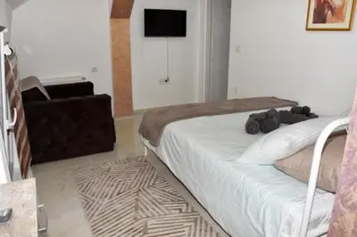 a bedroom with a bed and a television on the wall at Grof apartmani in Zaječar