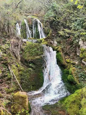 a waterfall on the side of a hill with moss at Vila Budimir in Pirot
