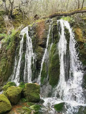 a waterfall on the side of a cliff with moss at Vila Budimir in Pirot