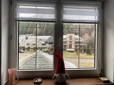 a person in a santa suit looking out of a window at Bele Staze 3a Kopaonik, Brzece in Kopaonik
