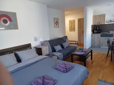 a living room with a bed and a couch at Apartman NALE in Vrnjačka Banja