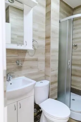 a bathroom with a toilet and a sink and a shower at Apartman Ivanka in Soko Banja