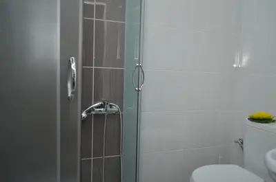 a bathroom with a shower with a toilet and a sink at Guest House Konak Iris in Predejane