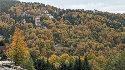 an autumn view of a hill with trees at Studio Čuvarkuća in Kopaonik