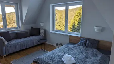 a room with a couch and a bed and two windows at Studio Čuvarkuća in Kopaonik