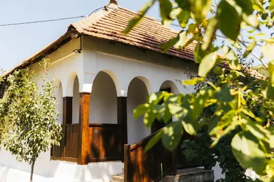 a small white house with a brown roof at Sentina kuća in Vrtovac
