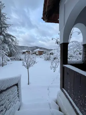 a snow covered yard with a house and a tree at Sentina kuća in Vrtovac