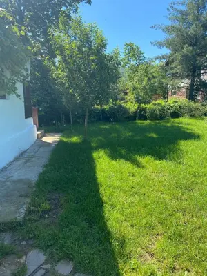 a tree in the grass next to a sidewalk at Sentina kuća in Vrtovac