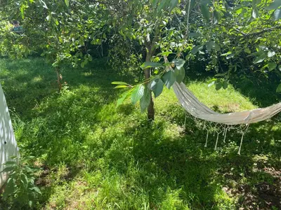 a hammock hanging from a tree in a garden at Sentina kuća in Vrtovac