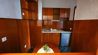 a small kitchen with wooden cabinets and a sink at Dukat Apartmani-Studio in Vrnjačka Banja