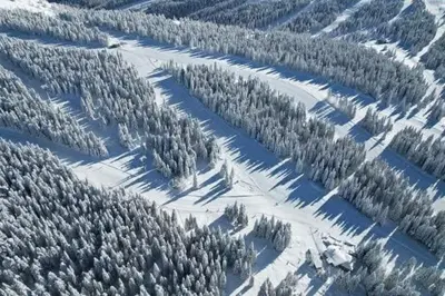 an aerial view of a snow covered forest with trees at Ski hotel DOBRODOLAC in Kopaonik
