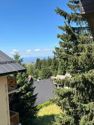 a view of a house and a tree at Apartman Treska Kop in Kopaonik