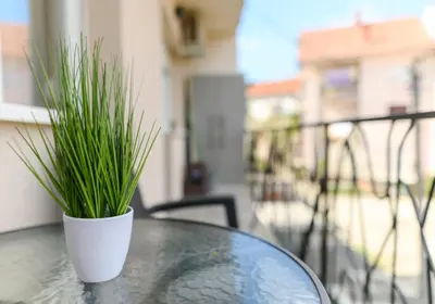 a table with a potted plant on a balcony at Apartmani Djukic in Soko Banja